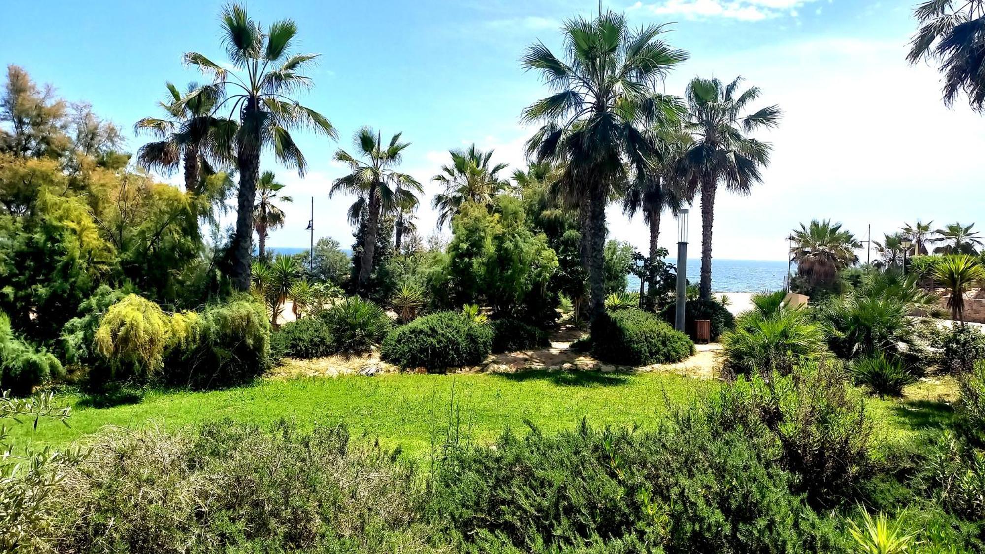 Punta Prima Torrevieja Fantazy01公寓 外观 照片
