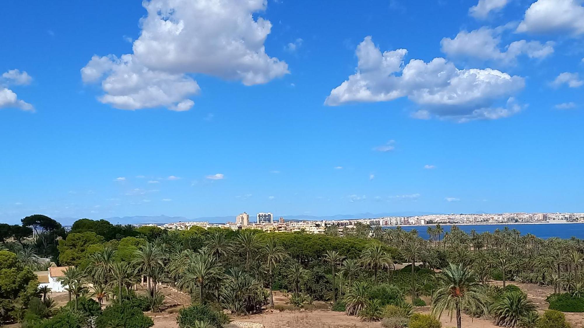 Punta Prima Torrevieja Fantazy01公寓 外观 照片