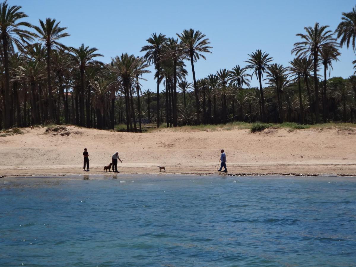 Punta Prima Torrevieja Fantazy01公寓 外观 照片