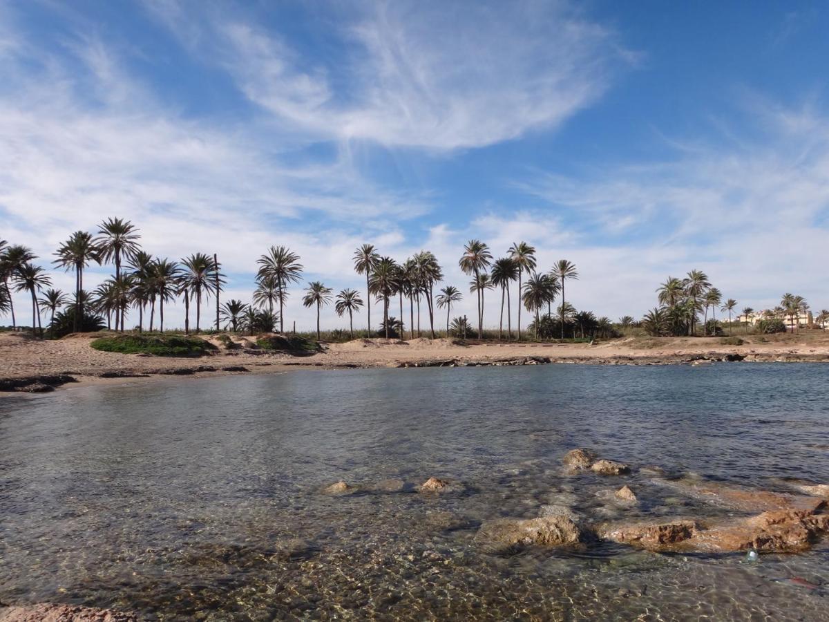 Punta Prima Torrevieja Fantazy01公寓 外观 照片